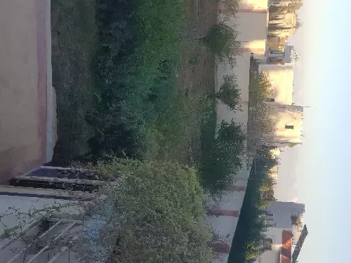 ssss
