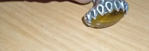 ssss