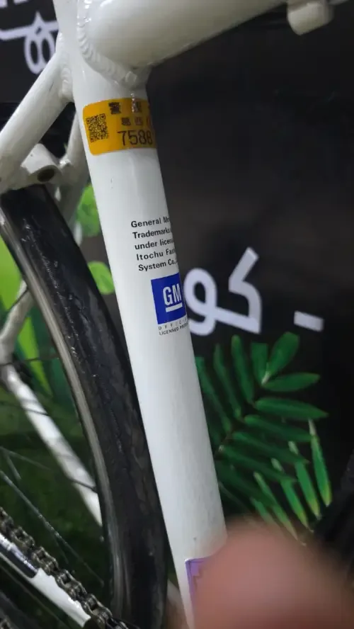 ssss