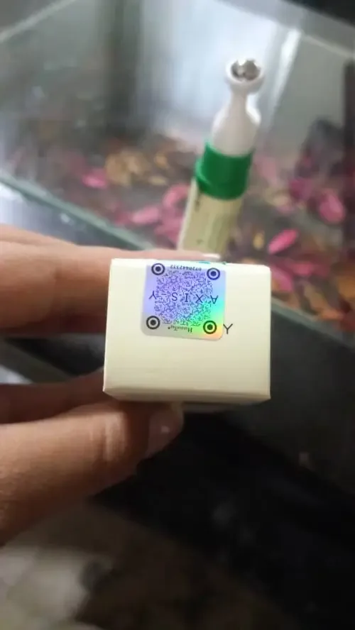 ssss