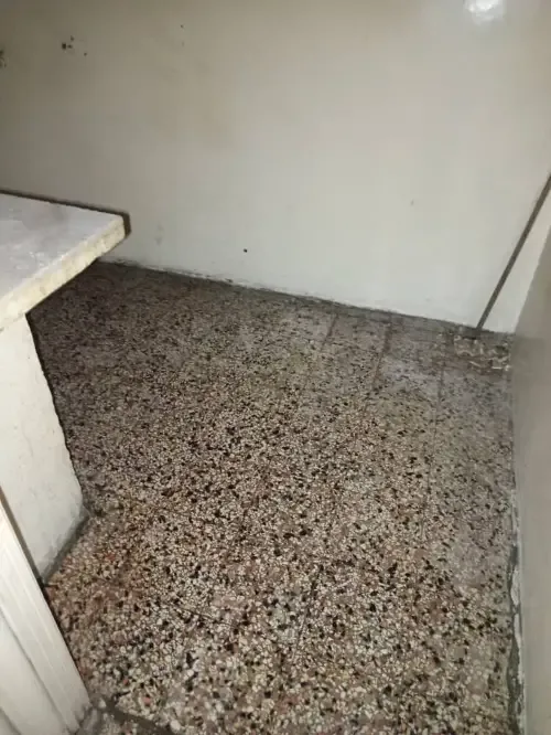 ssss