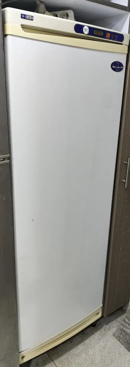 ssss