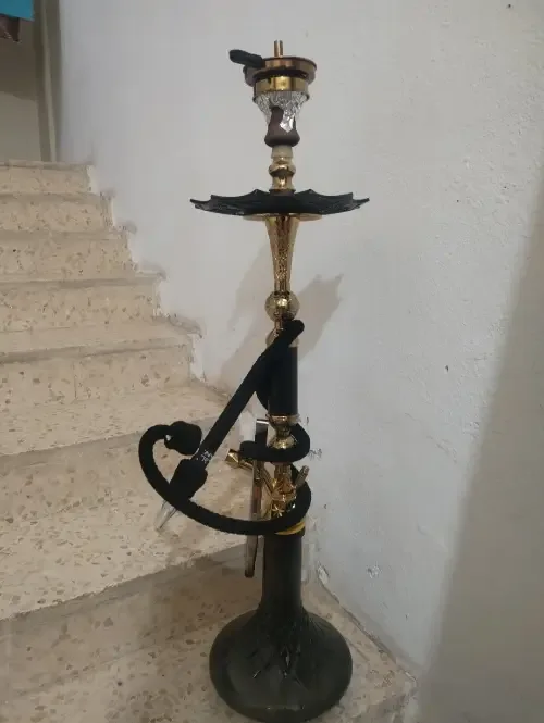 ssss
