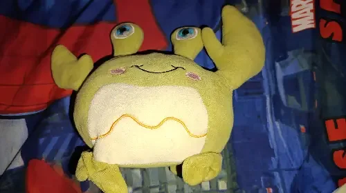 ssss
