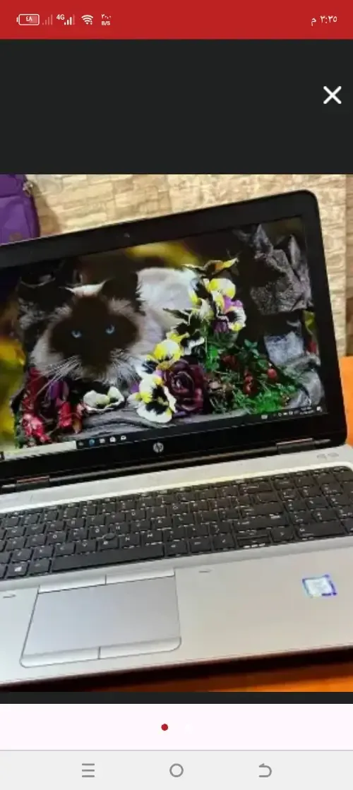 ssss