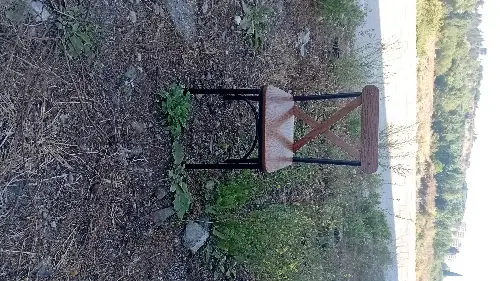 ssss