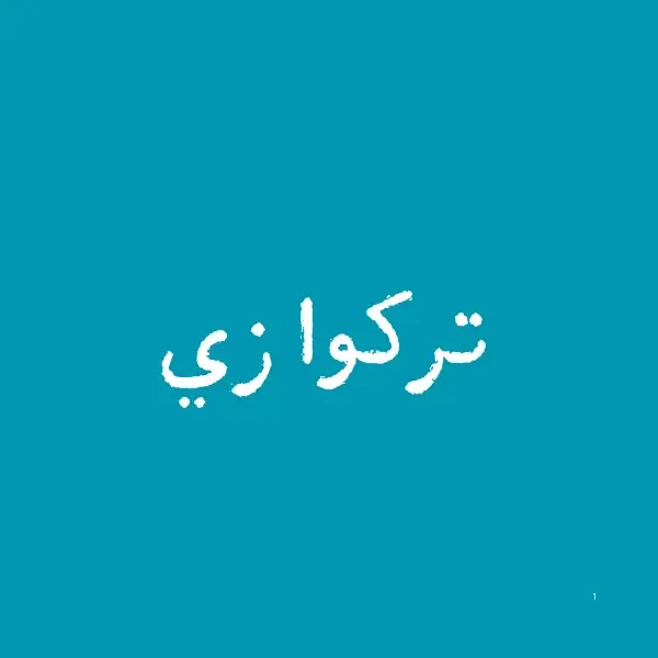 User